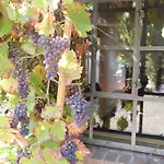 Alte Forsterei Guest house Kloster Zinna