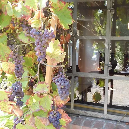 Alte Foersterei Pensión Kloster Zinna