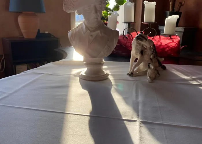 Affittacamere Alte Foersterei Kloster Zinna