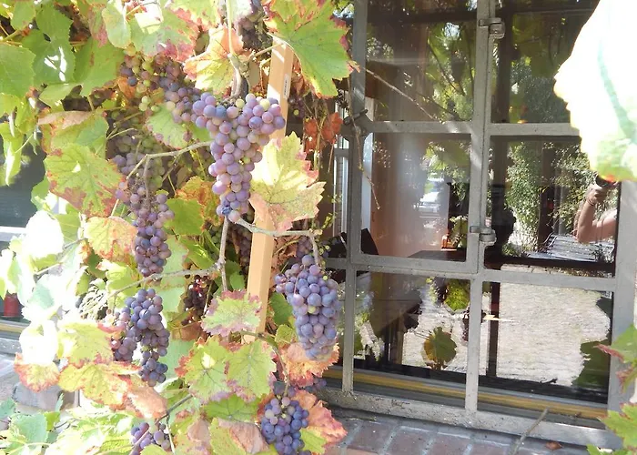 Alte Foersterei Affittacamere Kloster Zinna